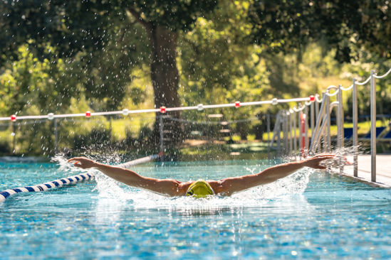 Bild von Einzeleintritt Erwachsener